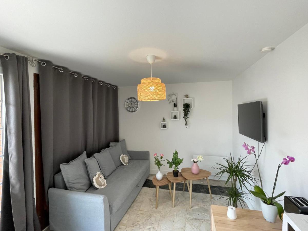 Joli T2, Terrasse Et Jardin, Ideal Pour Familles, A 15 Min De L'Aeroport Roissy Cdg Tremblay-en-France Екстер'єр фото